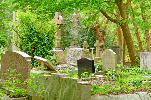 London, England-maj 6 2019: Highgate kyrkogård — Stockfoto