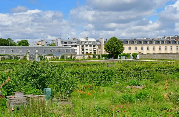 Versalhes; França - 16 de junho de 2019: Le potager du roi — Fotografia de Stock