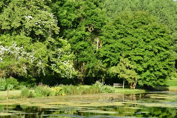 Sasnieres; Francia - 30 de junio de 2019: du Plessis Sasnieres garden —  Fotos de Stock