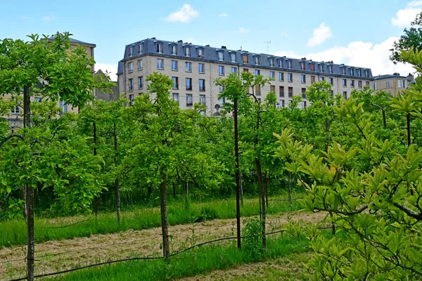 Versailles; France - june 16 2019 : Le potager du roi — ストック写真