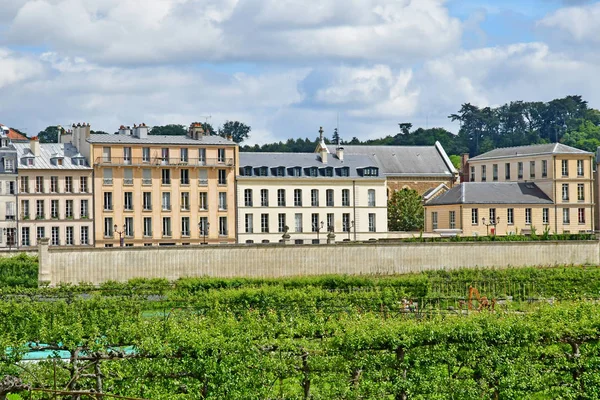 Versailles; france - 16. Juni 2019: le potager du roi — Stockfoto