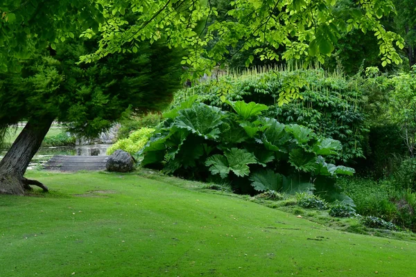 Sasnieres; Francia - 30 de junio de 2019: du Plessis Sasnieres garden —  Fotos de Stock