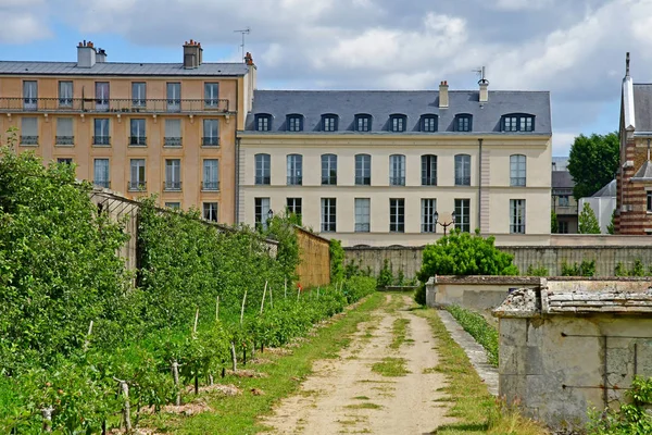 凡尔赛；法国- 2019年6月16日：Le potager du roi — 图库照片