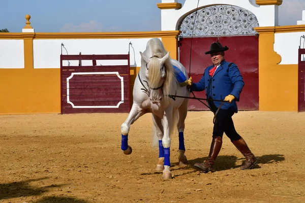 Sevilla; isla minima, spanien - 26. August 2019: Reitturnier in der — Stockfoto