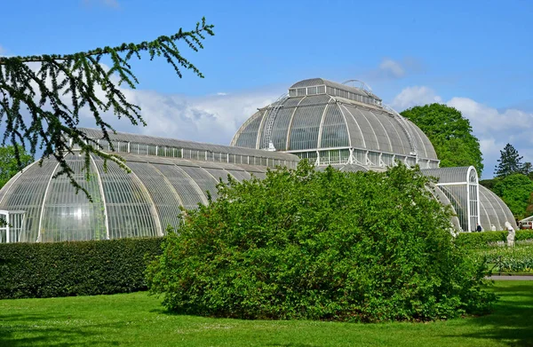 Londen; Kew, Engeland - 5 mei 2019: de Kew Gardens — Stockfoto