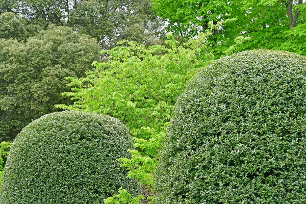 London; Kew, England - may 5 2019 : the Kew Gardens — Stock Photo, Image