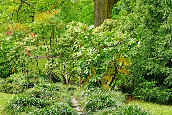 Londyn; Kew, Anglia - 5 maja 2019: Kew Gardens — Zdjęcie stockowe