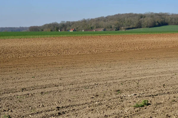 Sagy; France - march 22 2019 : field — Stock Photo, Image