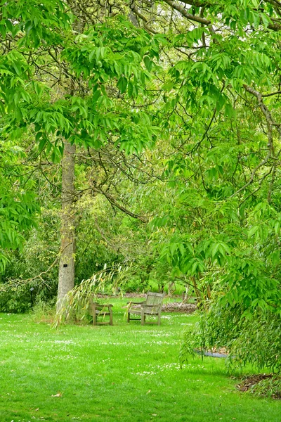 Londyn; Kew, Anglia - 5 maja 2019: Kew Gardens — Zdjęcie stockowe