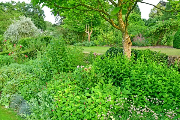 Sasnieres; França - 30 de junho de 2019: du Plessis Sasnieres garden — Fotografia de Stock