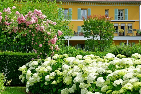 LIsle Adam, France - june 24 2019: rose garden jules dupre — 图库照片