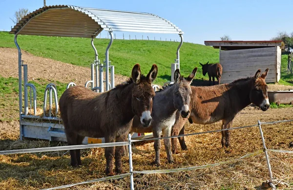 Longuesse; Frankreich - 30. März 2019: malerisches Dorf — Stockfoto