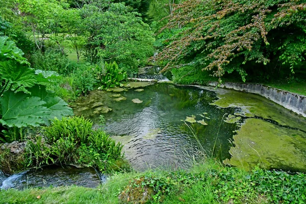 Sasnieres; Francia - 30 giugno 2019: du Plessis Sasnieres garden — Foto Stock