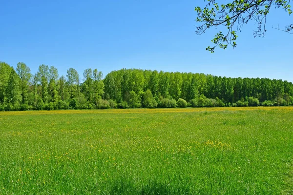 Fourges; Francie - květen 15 2019: malebná krajina — Stock fotografie