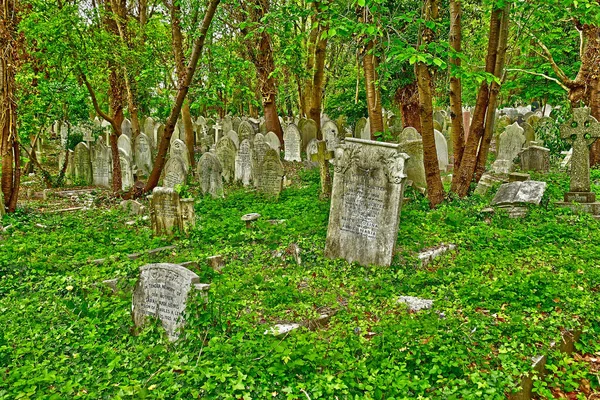 London, England - may 6 2019 : Highgate cemetery — Stock Photo, Image