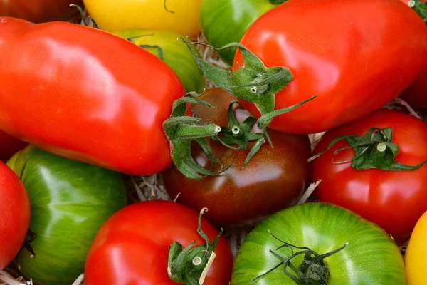 Saint Germain en Laye; Francia - 20 de abril de 2019: tomates — Foto de Stock