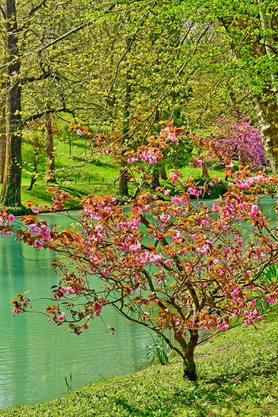 Poissy; Francia - 11 aprile 2019: il parco Meissonier — Foto Stock