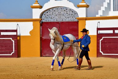 Sevilla; Isla Minima, Spain - august 26 2019 : horse show in the clipart