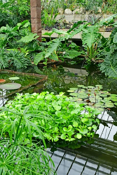 Londres; Kew, Inglaterra - 5 de mayo de 2019: los Jardines de Kew —  Fotos de Stock