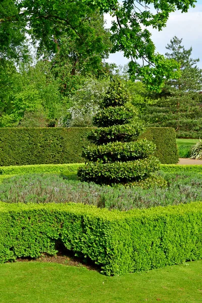 London; Kew, England - may 5 2019 : the Kew Gardens — Stock Photo, Image