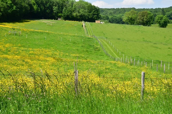 Lainville en Vexin, Francia - 24 Maggio 2019: paesaggio — Foto Stock