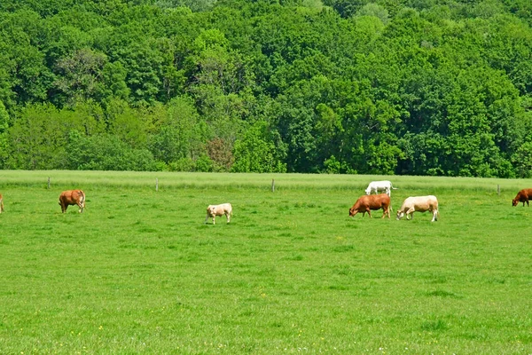 Lainville en Vexin, Francia - 24 de mayo de 2019: paisaje — Foto de Stock