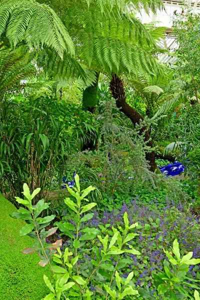 Londres; Kew, Inglaterra - 5 de maio de 2019: os Jardins Kew — Fotografia de Stock
