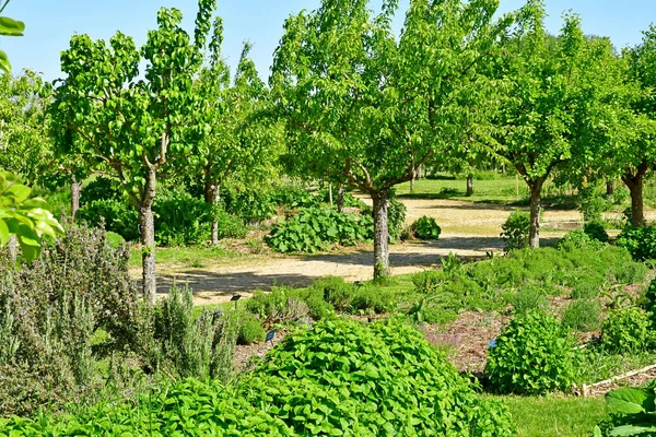 La Roche Guyon; France - may 15 2019 : picturesque village — Stock Photo, Image