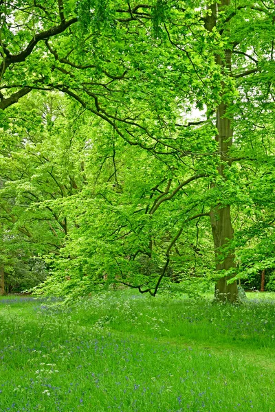 Londen; Kew, Engeland - 5 mei 2019: de Kew Gardens — Stockfoto