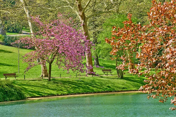 Poissy; Francia - 11 aprile 2019: il parco Meissonier — Foto Stock