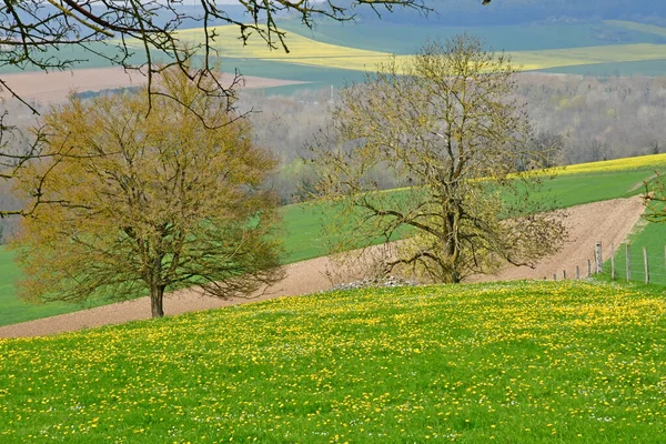 La Roche Guyon, França - 16 de abril de 2019: paisagem — Fotografia de Stock