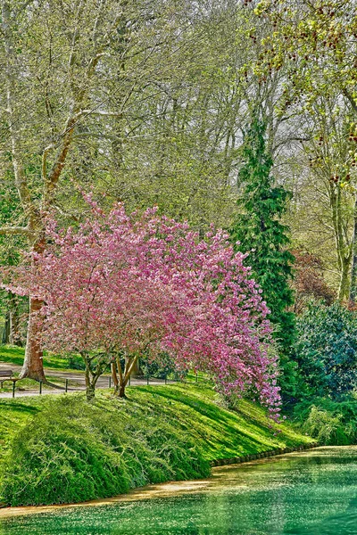 Poissy; Francia - 11 de abril de 2019: el parque Meissonier —  Fotos de Stock