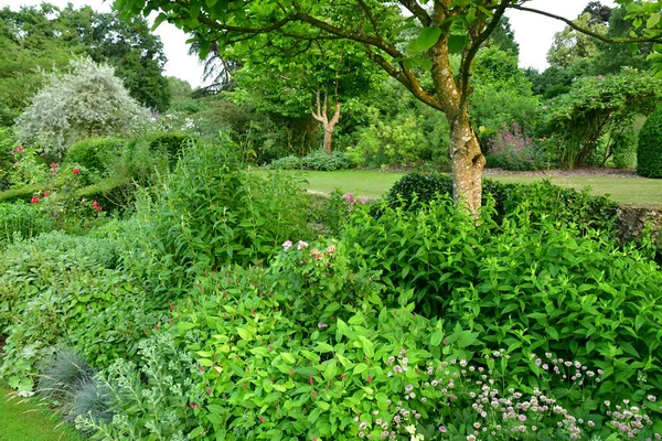 Sasnieres; France - june 30 2019: du Plessis Sasnieres garden — Stock Photo, Image