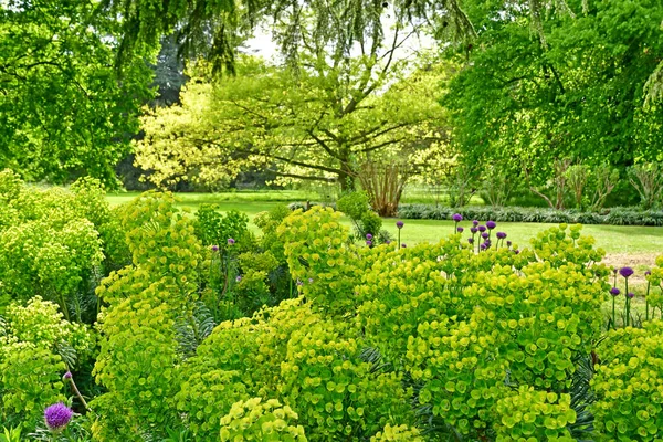 London; Kew, England - May 5 2019: The Kew Gardens — стокове фото