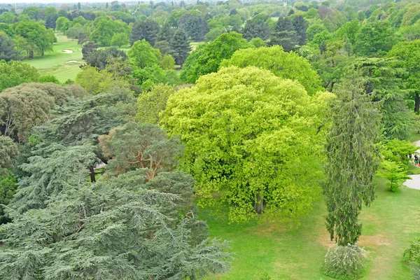 런던 ; 영국 큐 - 2019 년 5 월 5 일: 큐 식물원 — 스톡 사진