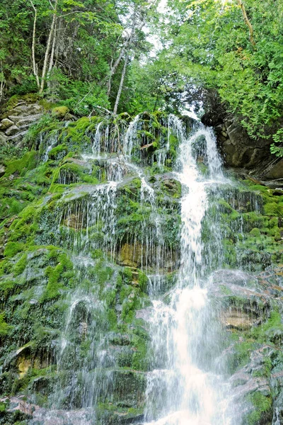 魁北克省 2018年6月25日 位于加斯佩西的国家森林公园陷落 — 图库照片