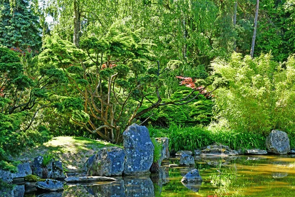 フランスアインクール 2020年5月18日 日本庭園 — ストック写真