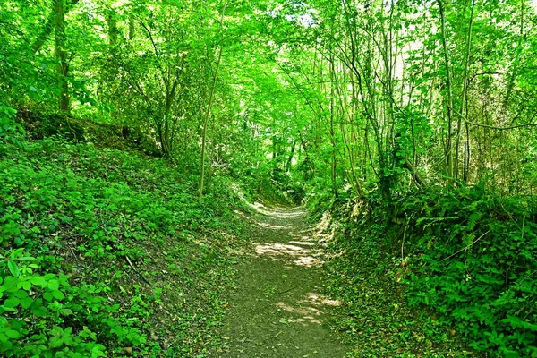 Arthies França Maio 2020 Floresta Perto Castelo — Fotografia de Stock