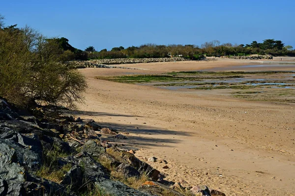 Les Portes Ile Francia Marzo 2020 Playa Gros Jonc — Foto de Stock