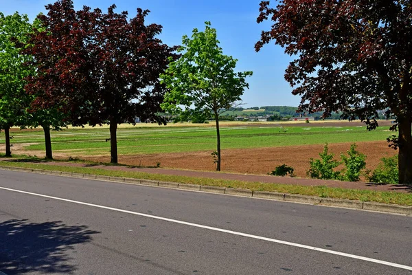 Aubergenville Frankreich Mai 2020 Feld Der Nähe Der Autobahn — Stockfoto