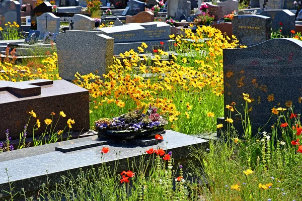 Aubergenville Franța Mai 2020 Cimitirul — Fotografie, imagine de stoc