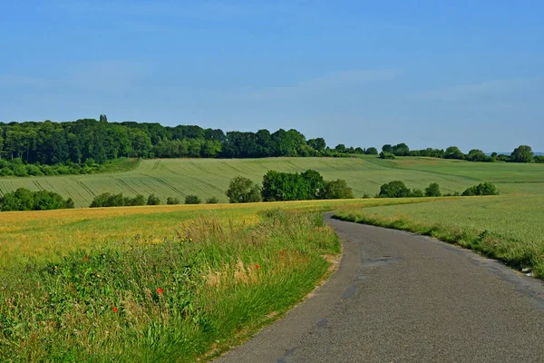 Ecquevilly Frankreich Mai 2020 Die Malerische Landschaft Des Landes — Stockfoto