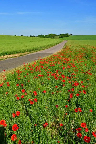 Ecquevilly France May 2020 Picturesque Country Landscape — Stock Photo, Image