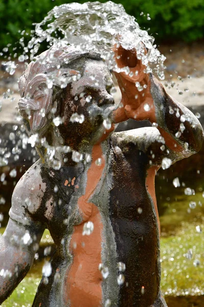 Chaussy Villarceaux Francia Giugno 2020 Storico Parco Del Castello — Foto Stock