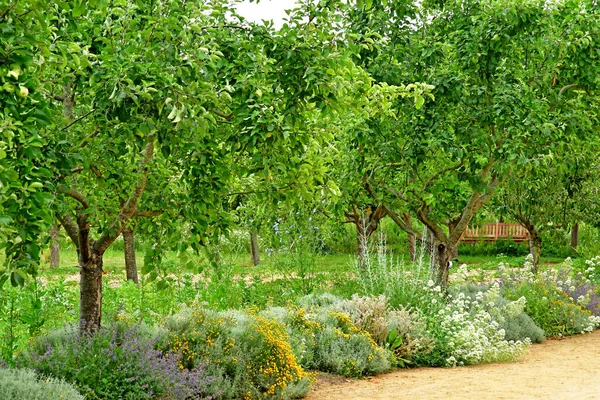 Roche Guyon Frankrijk Juni 2020 Historische Kasteeltuin — Stockfoto