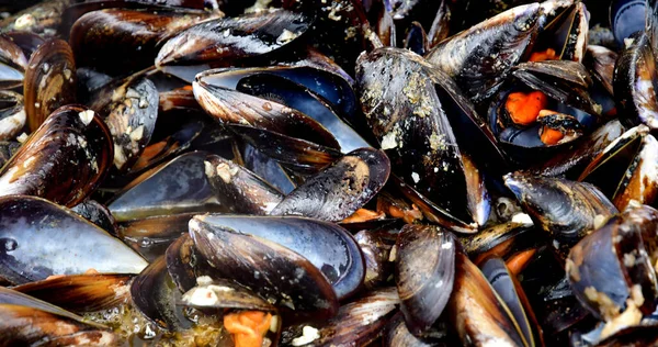 Jouy Josas França Julho 2020 Mexilhões Mariniere Mercado Fazenda — Fotografia de Stock