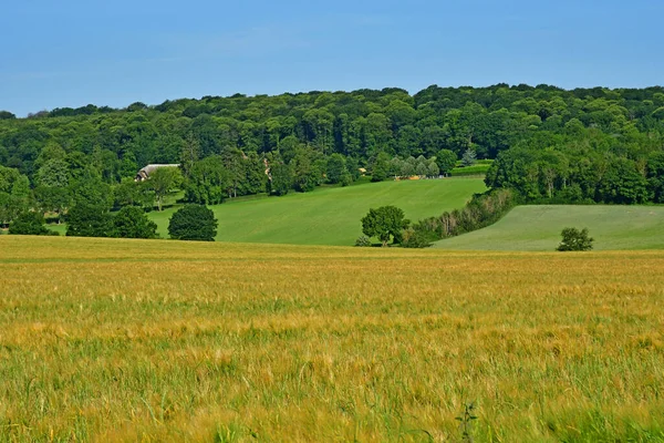 Ecquevilly Frankrike Maj 2020 Det Pittoreska Landskapet — Stockfoto