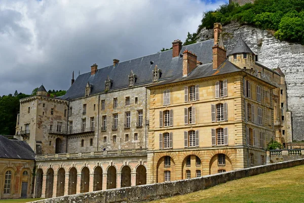 Roche Guyon Frankrijk Juni 2020 Het Historische Kasteel — Stockfoto