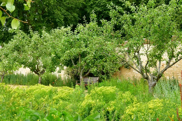 Roche Guyon Fransa Haziran 2020 Tarihi Kale Bahçesi — Stok fotoğraf