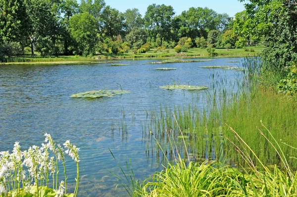 Montreal Quebec Canadá Junho 2018 Lagoa Jardim Botânico Criado 1931 — Fotografia de Stock